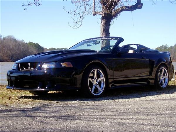 First BIG 2008 show - reminder-p2010015.jpg