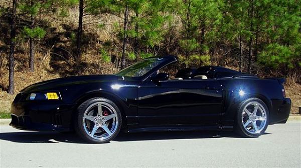 First BIG 2008 show - reminder-p2010010.jpg