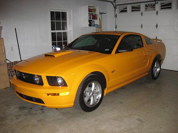 Got my new pony yesterday!!-grabber08.jpg
