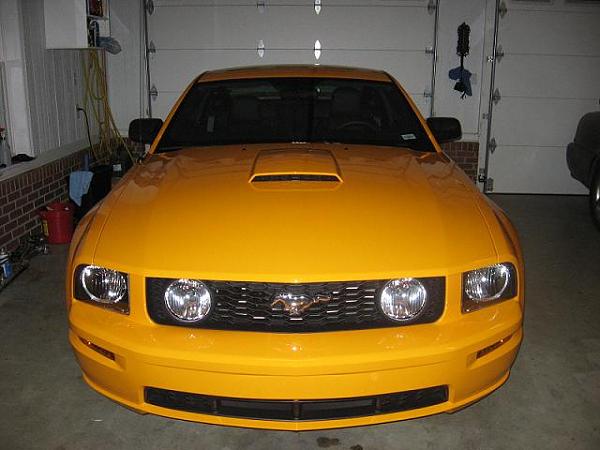 Got my new pony yesterday!!-grabber082.jpg