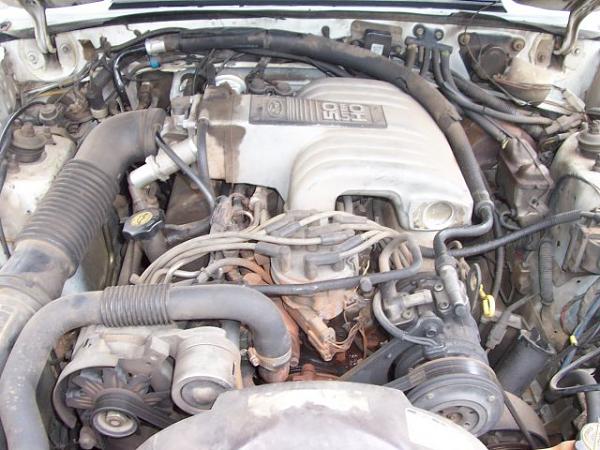 For Sale or Trade :1987 5.0 Coupe-86lx_eng_s.jpg