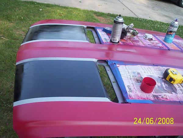 Paint Style?-106_6941.jpg