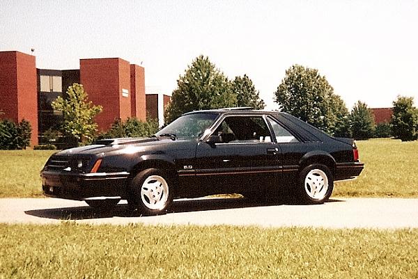 My First Mustang Section-82gtuah.jpg