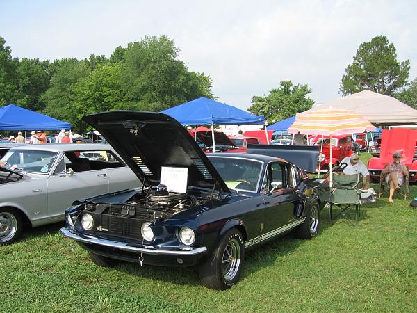 Delphi Plant Show Photos-img_1229.jpg