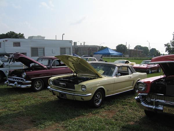 Delphi Plant Show Photos-img_1233.jpg