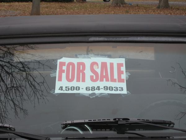 Foxy Convert 4Sale-img_1827.jpg