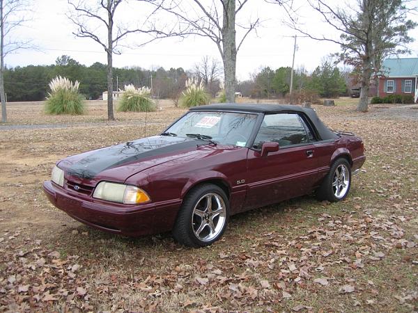 Foxy Convert 4Sale-img_1828.jpg