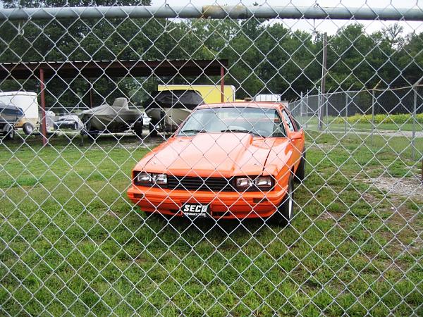 Stang 4Sale-img_2529.jpg