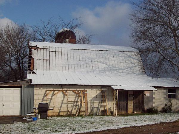 Snow Pics of your Stangs-100_1773.jpg