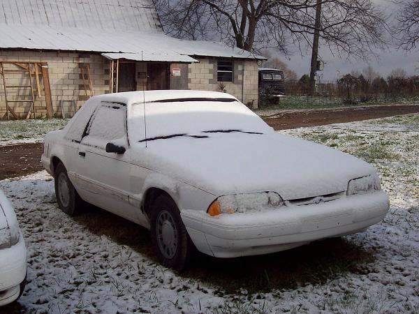 Snow Pics of your Stangs-100_1774.jpg
