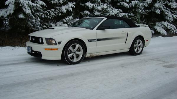 Snow Pics of your Stangs-jan2908vancouver004.jpg