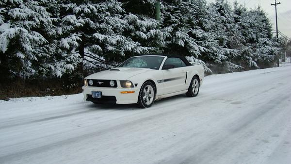 Snow Pics of your Stangs-jan2908vancouver003.jpg