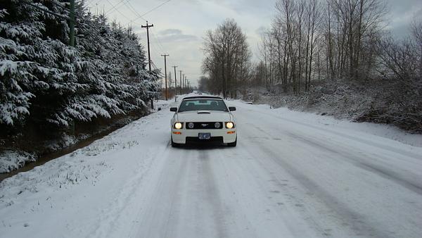 Snow Pics of your Stangs-jan2908vancouver001.jpg