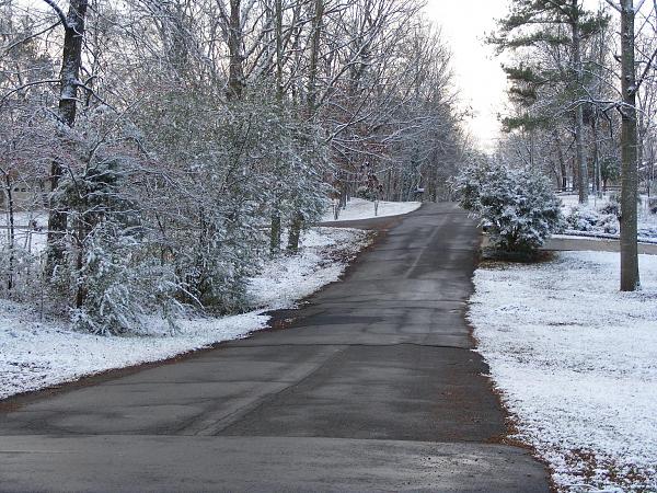 Snow Pics of your Stangs-2009_1206snow0008.jpg