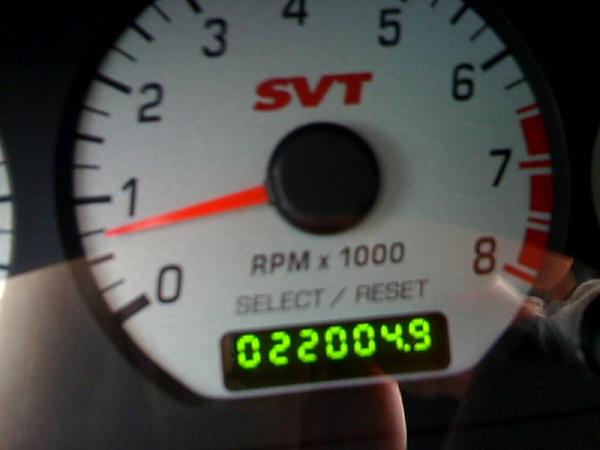 What is this?-photo.jpg