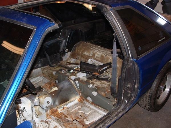 Started work on the '83 T-top-newinterior.jpg