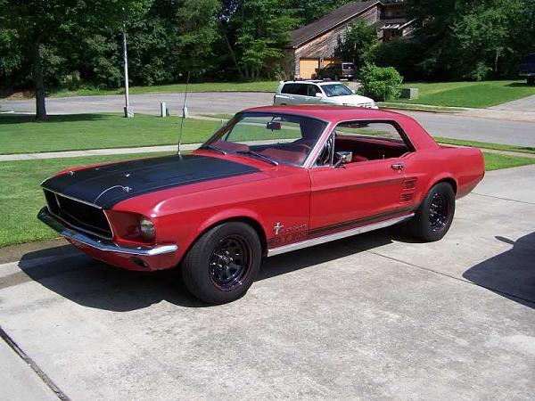 Current projects?-bacragars.jpg