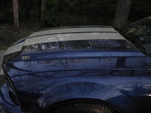 New Mustang Registry-pic419.jpg
