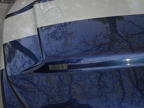 New Mustang Registry-pic423.jpg