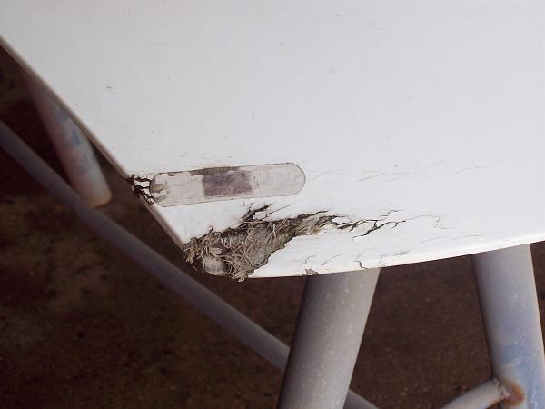 Bought another 2000-2000hood1.jpg