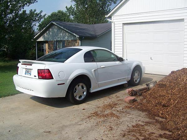 Bought another 2000-100_2292sm.jpg