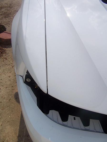 Bought another 2000-100_2298sm.jpg