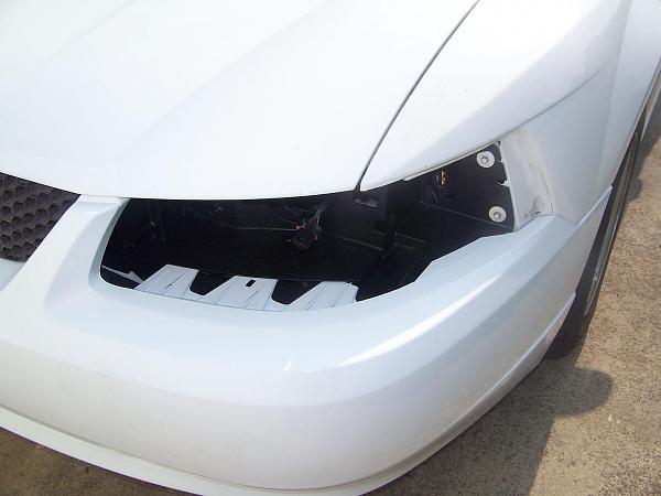 Bought another 2000-100_2300sm.jpg