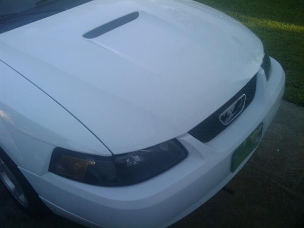 Bought another 2000-2010-07-15-07.03.42.jpg