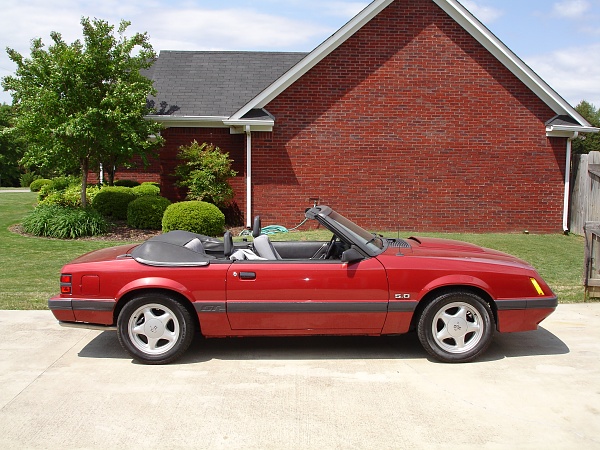 My 85GT Vert (For-Sale-dsc02147.jpg