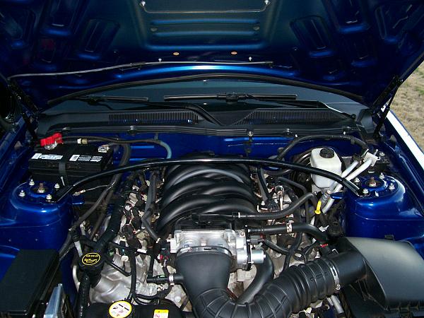 Strut bar = bent hood  :(-100_2317.jpg