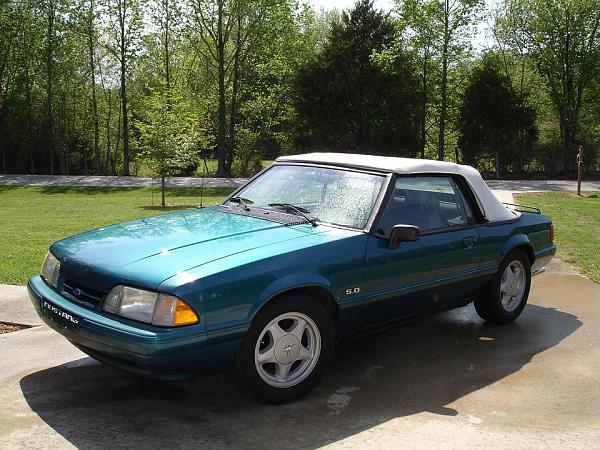 Selling all our Mustangs-oleblue2.jpg