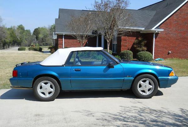 Selling all our Mustangs-93e.jpg