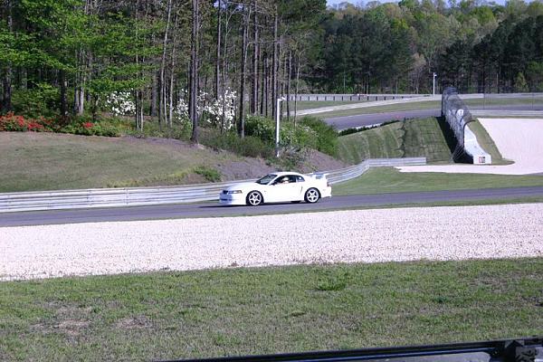 Barber Motorsports Park-img_3973.1-medium-.jpg