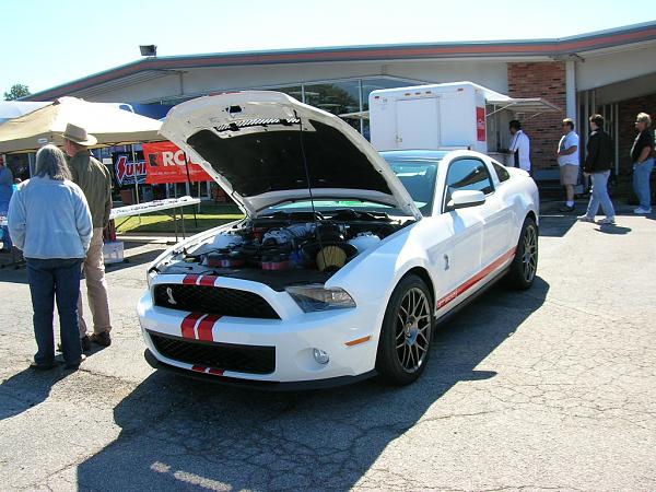 Ford/Mustang Show in Athens Sat. Oct. 1st!!!-walking-stick-016.jpg