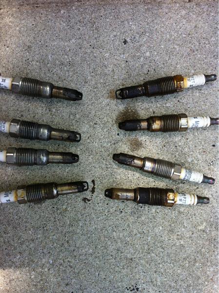 THE GREAT S-197 4.6L SPARK PLUG TOPIC! HOUTEX WRITE UP!-image-1777627234.jpg