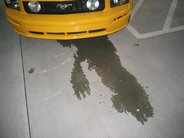 Leaking in front of motor-img_0101-large-.jpg