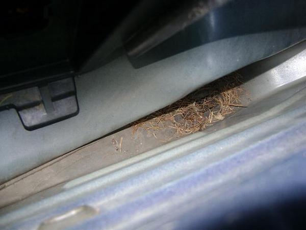 Fixed my interior water leak!  No more wet floorboards!!!-cabin2.jpg