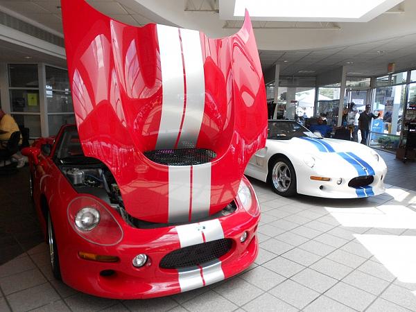 2012 Tysons Ford Mustang Show in Vienna Va 6/10 sunday-tf8.jpg