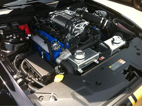 Shelby Nationals Event Tulsa, OK-image-984469426.jpg