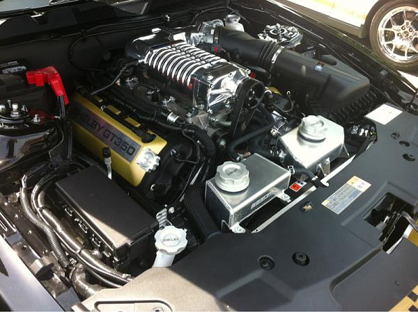 Shelby Nationals Event Tulsa, OK-image-3422679069.jpg