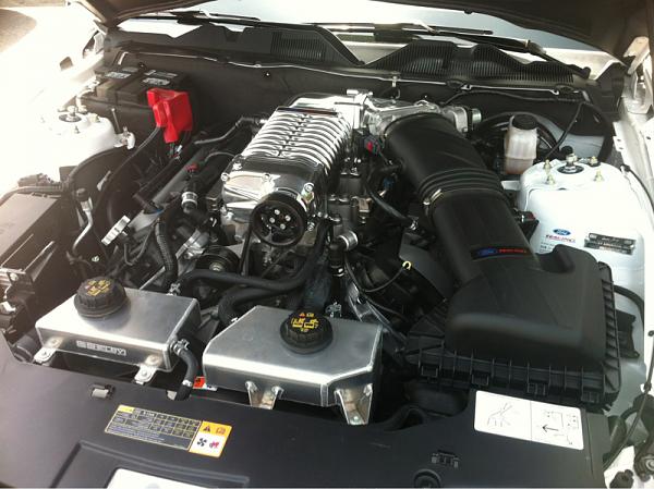 Shelby Nationals Event Tulsa, OK-image-4155032688.jpg