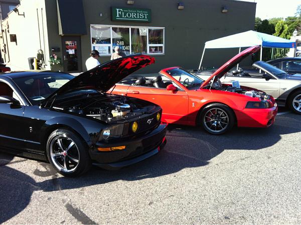 Mustang Alley 2012-image-2246931360.jpg