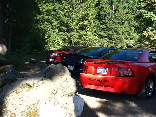 Kent wa car show photod-image-167201899.jpg