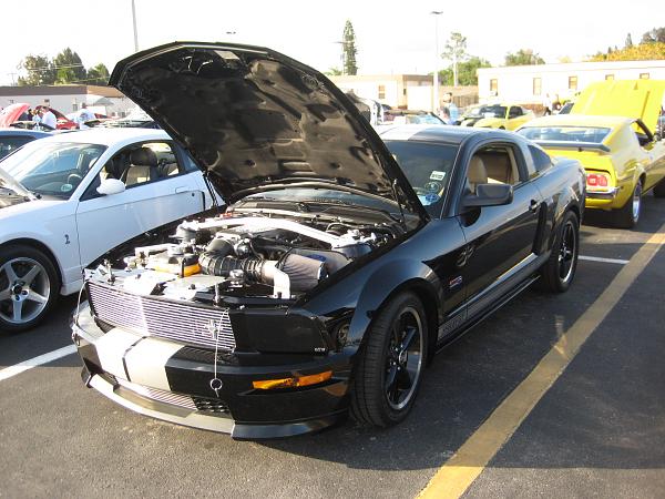Mustang_ Corvette Challange contd.-012.jpg
