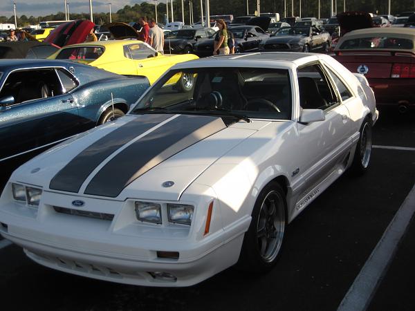 Mustang_ Corvette Challange contd.-019.jpg