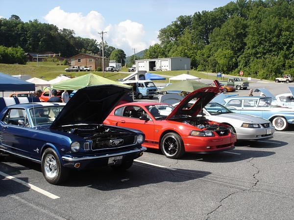 Quite a few Mustangs at this show-dsc09702.jpg