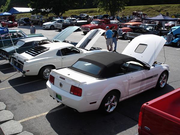 Quite a few Mustangs at this show-dsc09707.jpg