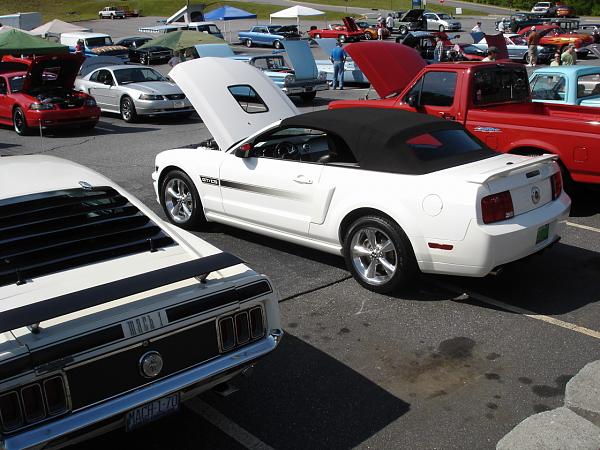 Quite a few Mustangs at this show-dsc09706.jpg