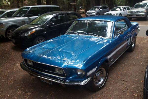 Sonoma County Mustang Club-Armstrong Woods Picnic-img_4839.jpg