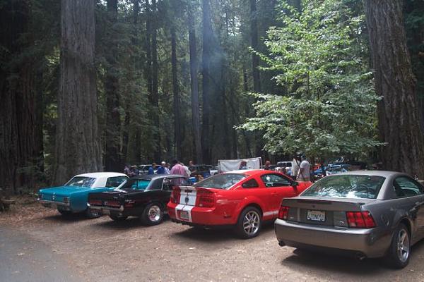 Sonoma County Mustang Club-Armstrong Woods Picnic-img_4831.jpg